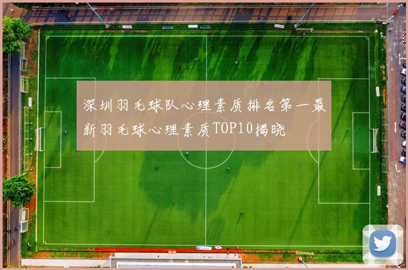 深圳羽毛球队心理素质排名第一最新羽毛球心理素质TOP10揭晓
