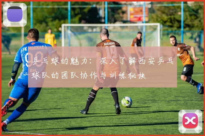乒乓球的魅力：深入了解西安乒乓球队的团队协作与训练秘诀
