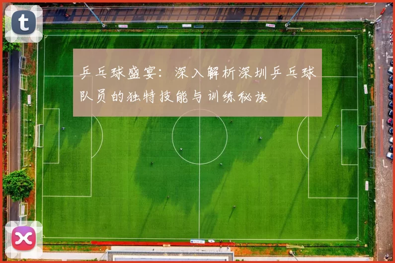 乒乓球盛宴：深入解析深圳乒乓球队员的独特技能与训练秘诀