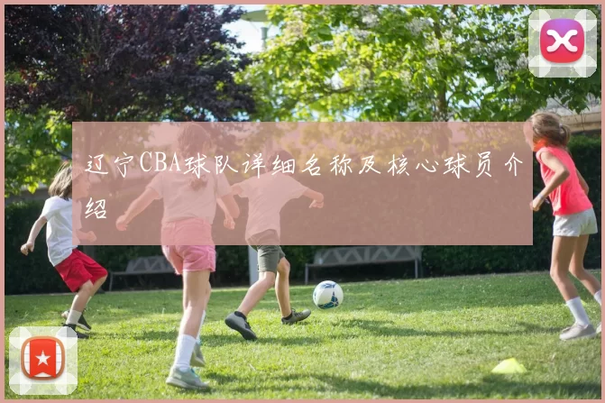 辽宁CBA球队详细名称及核心球员介绍