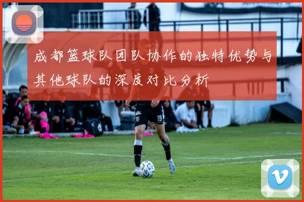 成都篮球队团队协作的独特优势与其他球队的深度对比分析