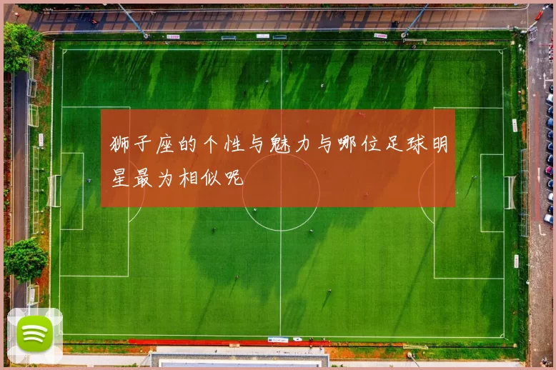 狮子座的个性与魅力与哪位足球明星最为相似呢
