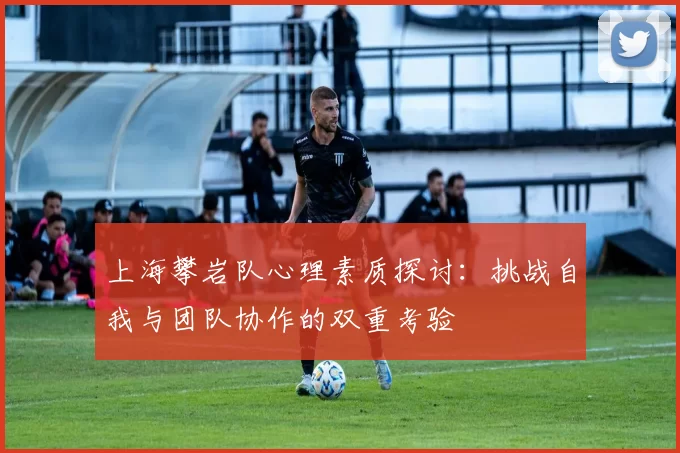 上海攀岩队心理素质探讨：挑战自我与团队协作的双重考验