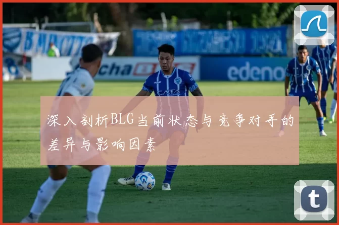 深入剖析BLG当前状态与竞争对手的差异与影响因素