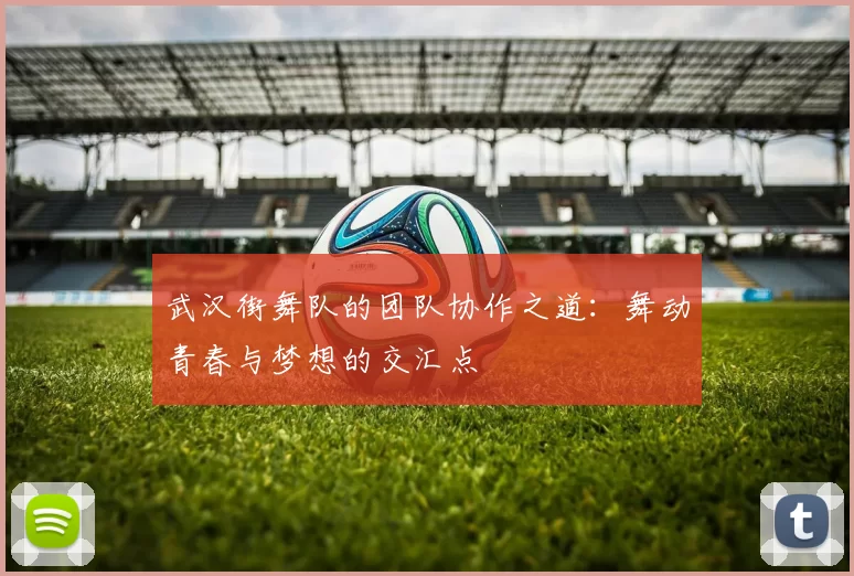 武汉街舞队的团队协作之道：舞动青春与梦想的交汇点