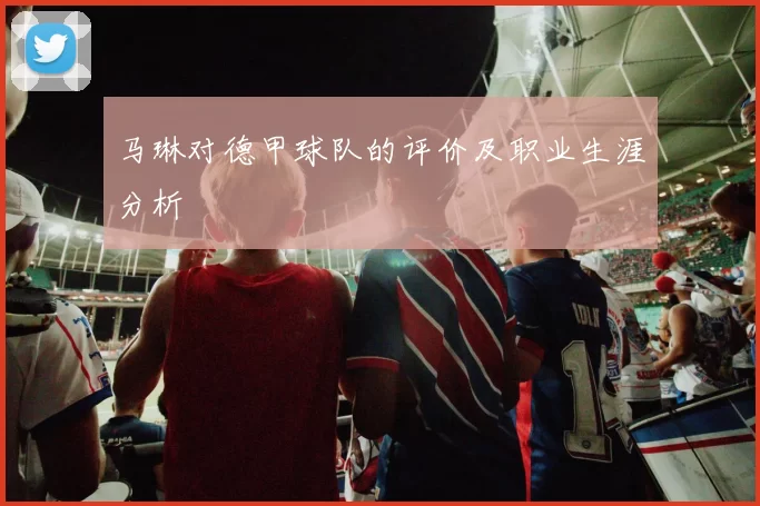 马琳对德甲球队的评价及职业生涯分析