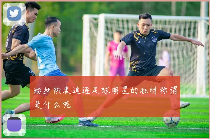 粉丝热衷追逐足球明星的独特称谓是什么呢