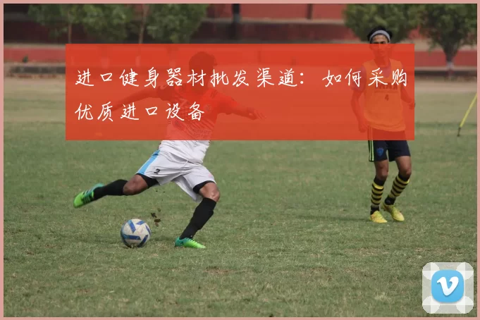进口健身器材批发渠道：如何采购优质进口设备