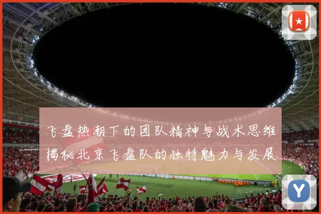飞盘热潮下的团队精神与战术思维揭秘北京飞盘队的独特魅力与发展之路