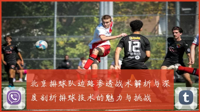 北京排球队边路渗透战术解析与深度剖析排球技术的魅力与挑战